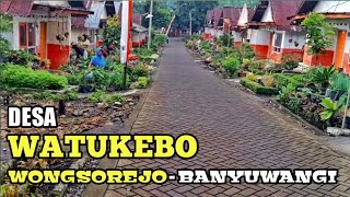 Desa Watukebo - Wongsorejo | Banyuwangi