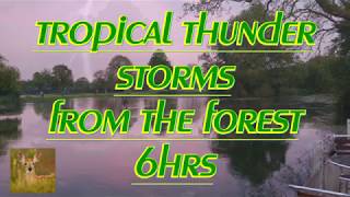 TROPICAL THUNDER STORMS FROM THE FOREST 6HRS