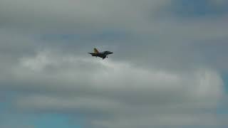 Freewing Mirage 2000