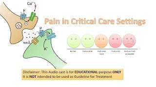 Management of Pain in Critical Care