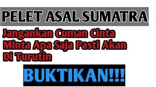 PELET ASAL SUMATRA...SI DIA AKAN LANGSUNG TUNDUK DAN PATUH APAPUN YANG ANDA MINTA||DF OFFICIAL