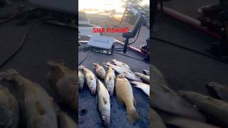 (Buena pesca de bass y walleye )