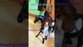 Meet the horses! Part 1