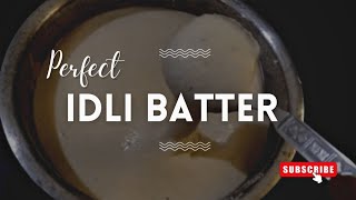 Idli batter |How to make a #PerfctBatter for idli & Uttapam| Super soft &Spongy Idli Let's hv a look