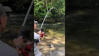 camping fishing #shorts #camping #fishing