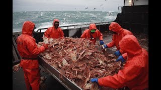 Самая опасная профессия - Промысел краба / The most dangerous  profession - Crab fishery