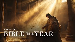 207. Den of Thieves - The Gospels | Bible in a Year