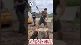 Cut a tree trunk in half with one stroke#Shorts