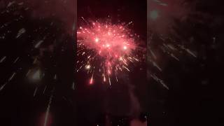 Light brigade by brothers fireworks #shorts #fireworks