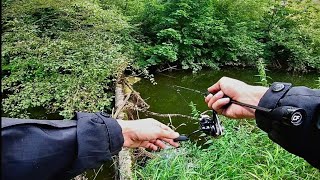 МОРМЫШИНГ НА МЕЛКОВОДЬЕ-"ОКУНЕВОЕ ЭЛЬДОРАДО"#fishing#мормышинг#рыбалка