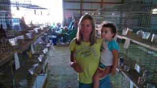 Boone County Fair August 2014