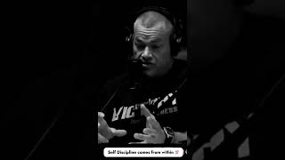 Discipline comes from within - Jocko Willink Motivation