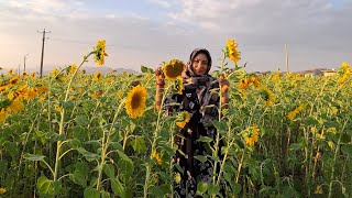 دوستای خوب و نازنین تشکر که همیشه ماره حمایت مونین مثل همیشه لایک و سابسکرایب یادشیم نره🌸❤️🥰🥰❤️🌸