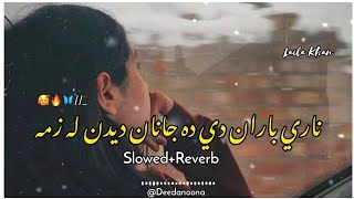 Naray Baran Day Da Janan Deedan La Zma 🥰 ( Slowed And Reverb ) Pashto New Laila Khan Song Deedanoona