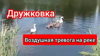 Дружковка.Сирена на речке