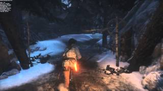 Rise of the Tomb Raider 1440p