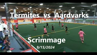 9/15/2024 - Termites vs Aardvarks (11:7) - (Full game) - scrimmage