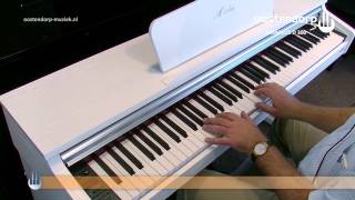 Amadeus D300 digitale piano | sound demo