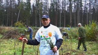 Акция Посади лес в Дачном поселке Солнечное без титров