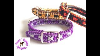 Adjustable dog collar - Modified Sanctified Square pattern paracord dog collar