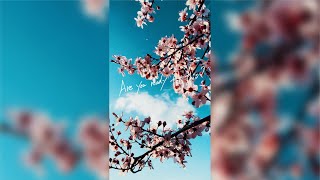 DEAN FUJIOKA - “Sakura” Lyric Video