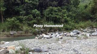 Pinoy Homestead in Lukutan River Montalban Rizal ( River Crossing )