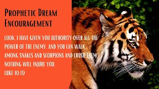 Prophetic Dream Encouragement The tiger